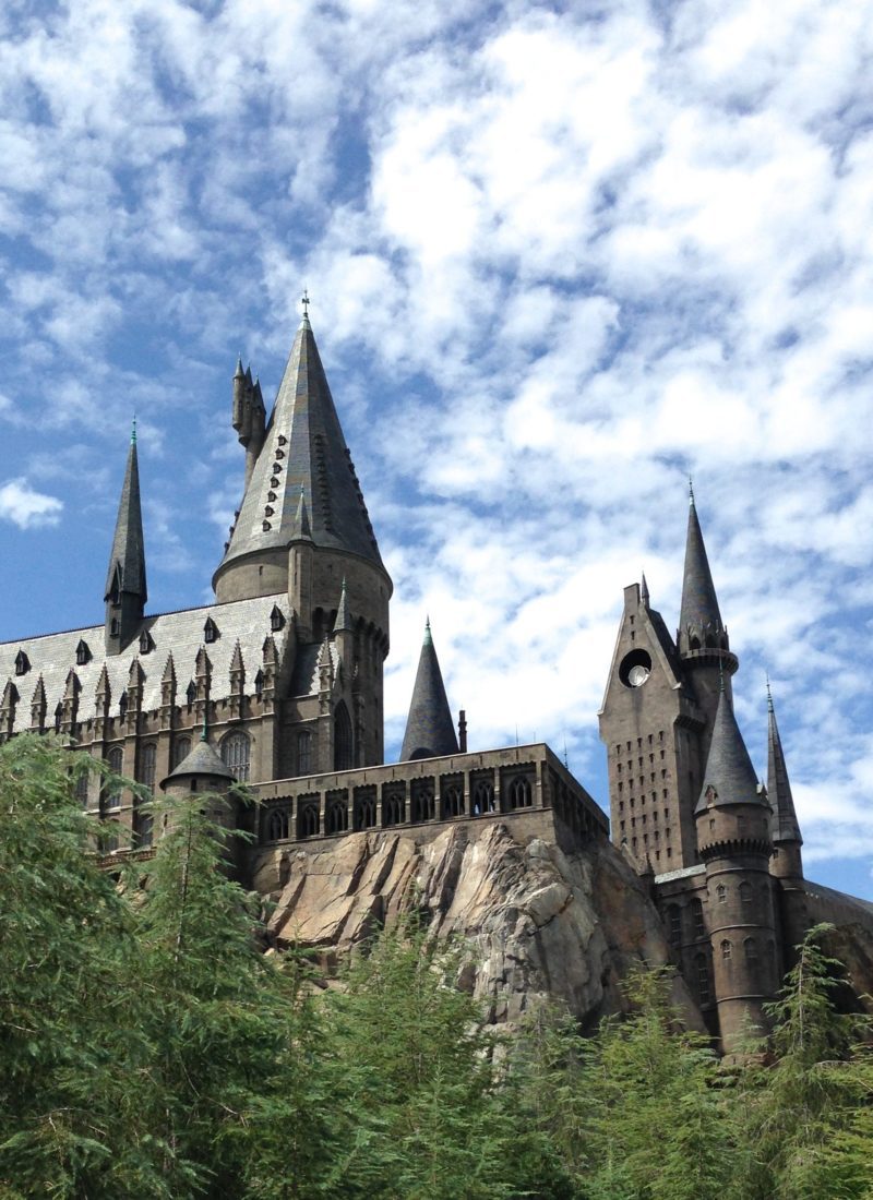The Wizarding World of Harry Potter: Universal Studios Vacation