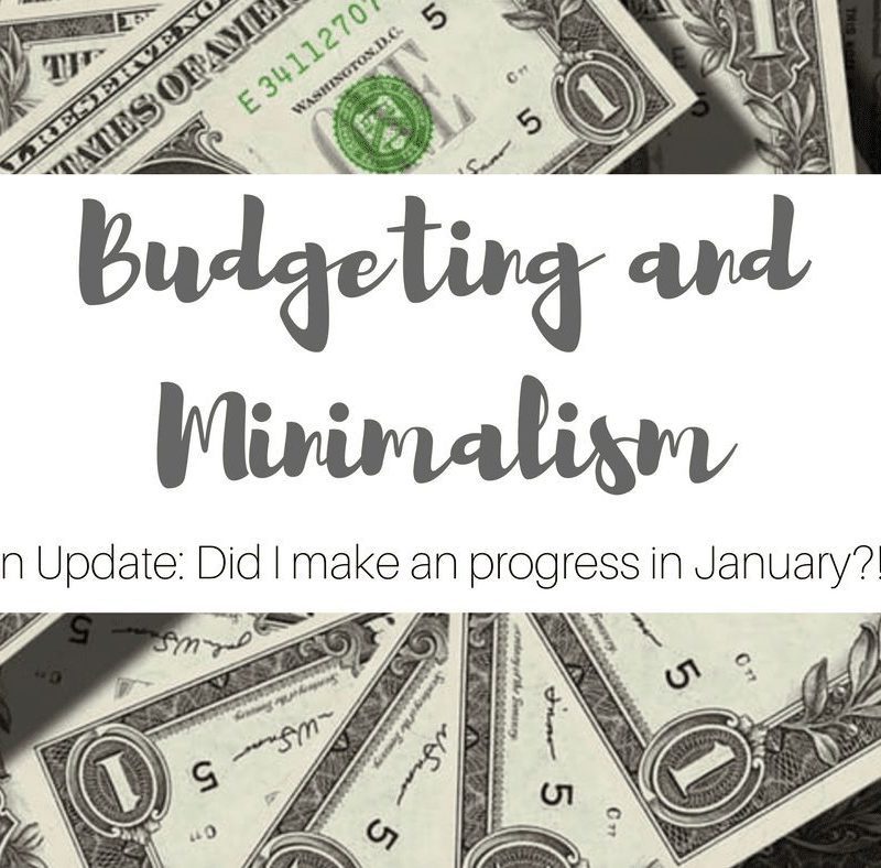 Simply Stine Tries Minimalism and Budgeting- An Update