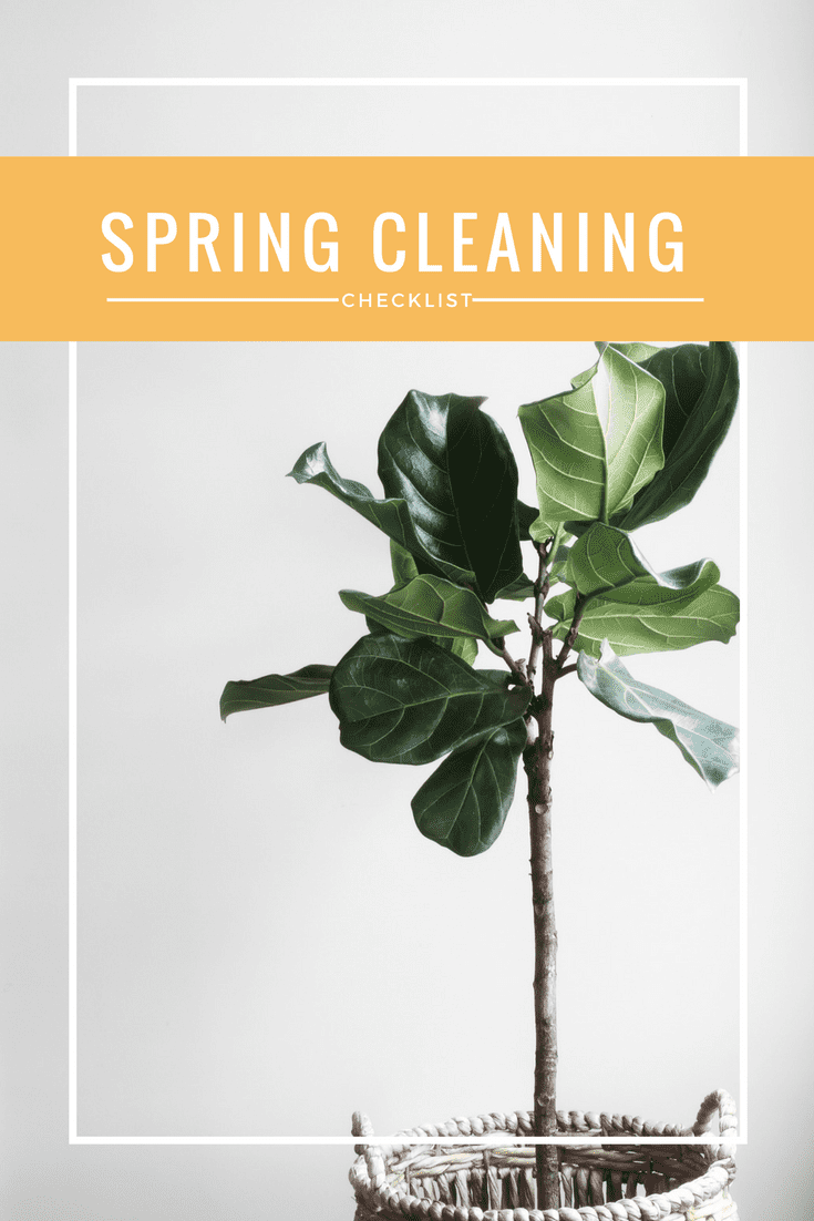 Looking for some tips to help you do some serious Spring Cleaning?!? I've created a checklist for you to help keep you on track!