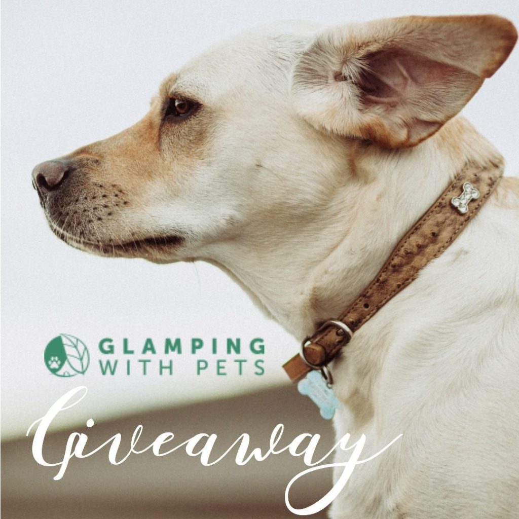 Glamping With Pets 