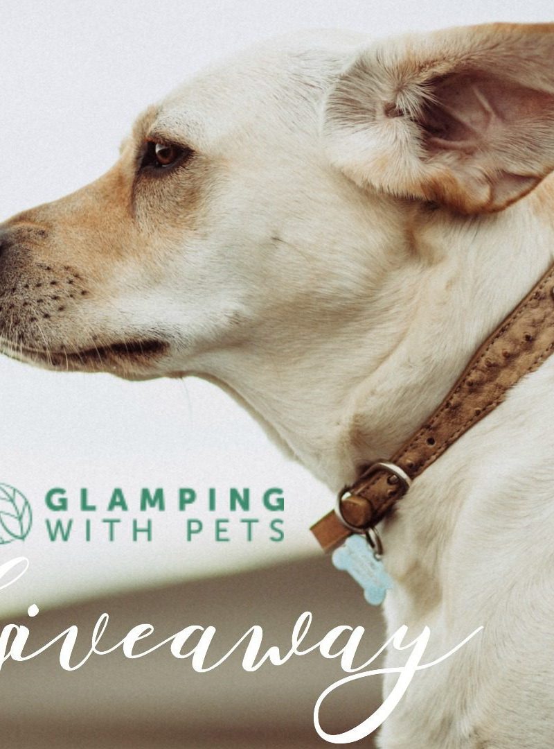 Glamping With Pets | Giveaway