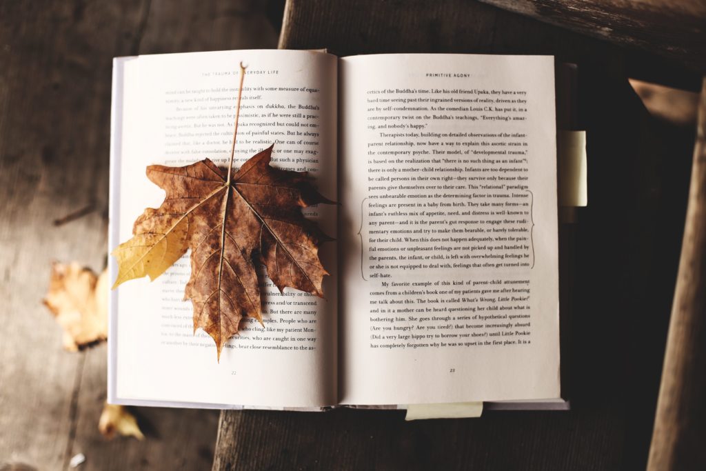 5 Books I Want To Read This Fall |  www.simplystine.com