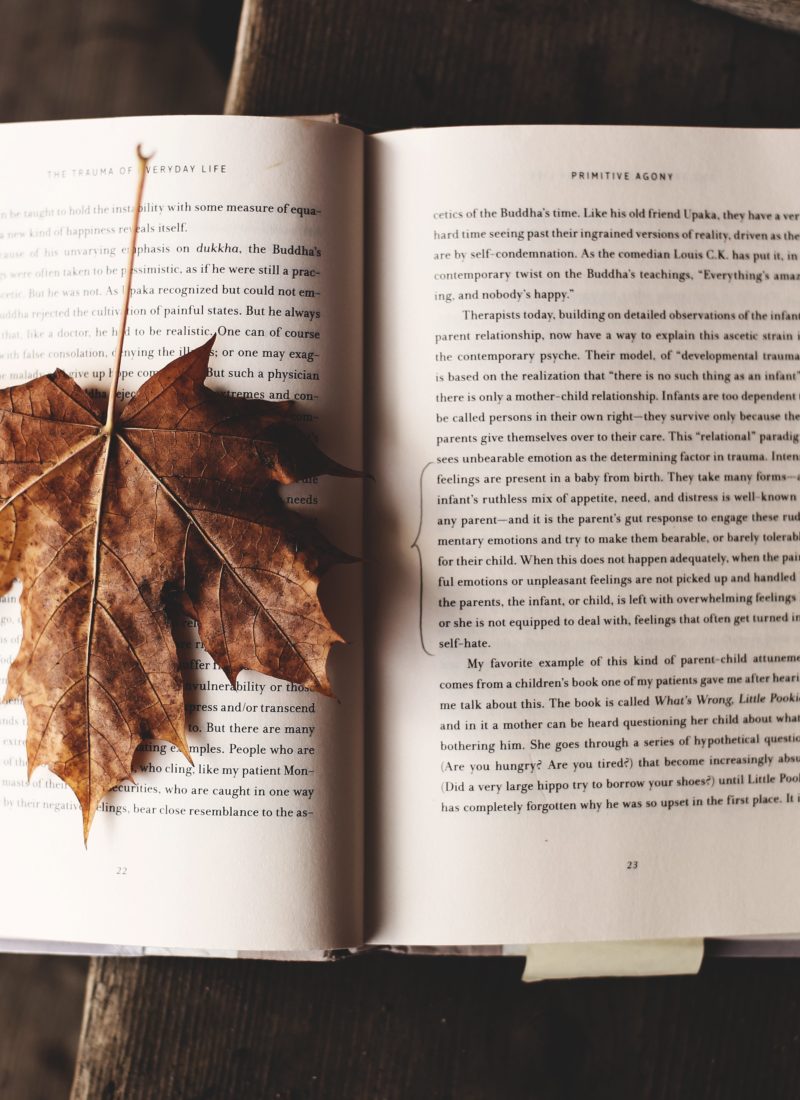 5 Books I Want To Read This Fall