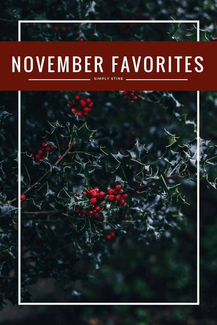 My November Beauty Favorites