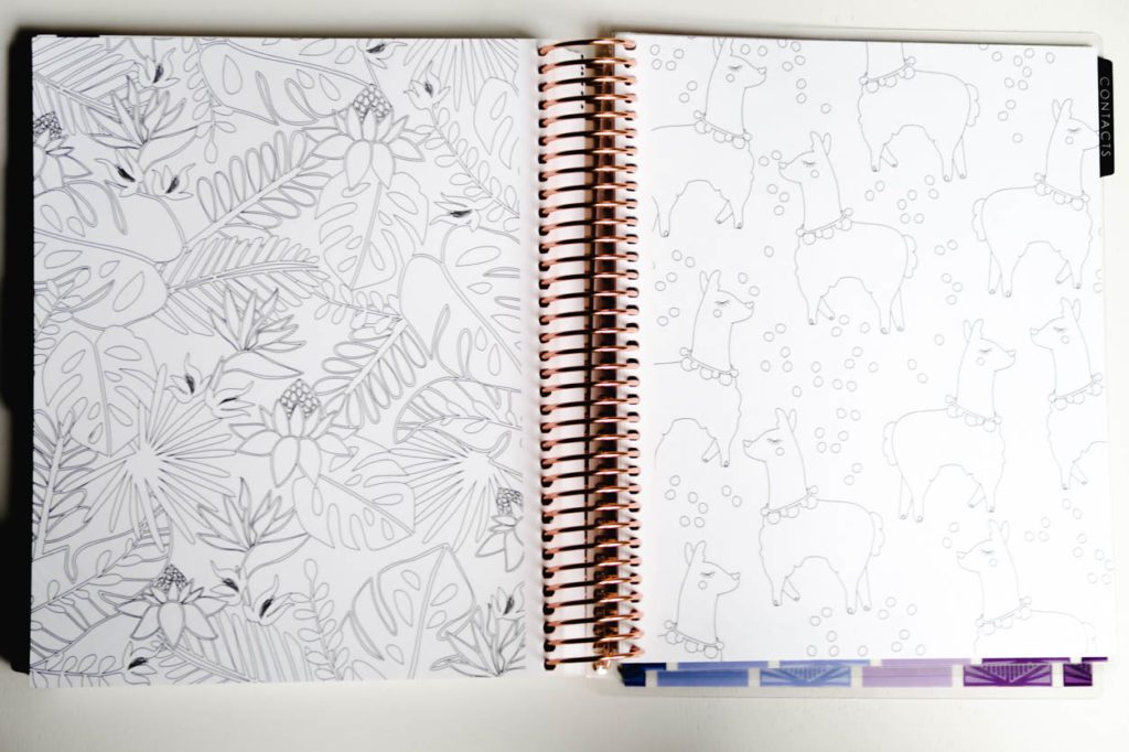 The 2018-2019 Erin Condren Life Planner Review | Simply Stine