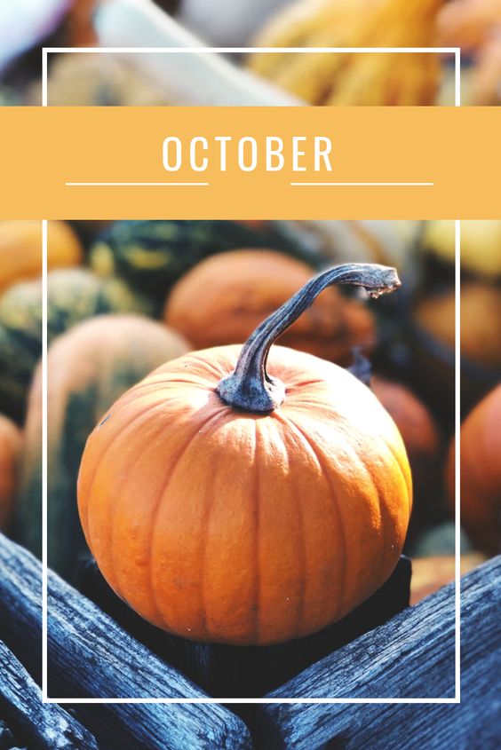 15 Activities To Add To Your Fall Bucket List This Year! #fall #october #leaves #hayride #hauntedhouse #fallideas #falldecor #fallmakeup #fallrecipes