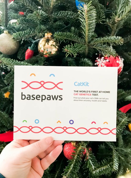 At-Home Cat DNA Test