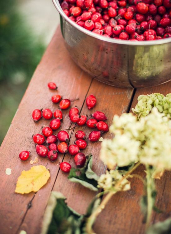 The Benefits of Using Rosehip Oil In Your Skincare Routine