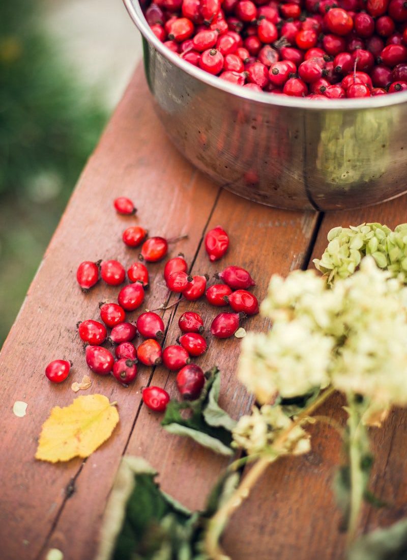 The Benefits of Using Rosehip Oil In Your Skincare Routine