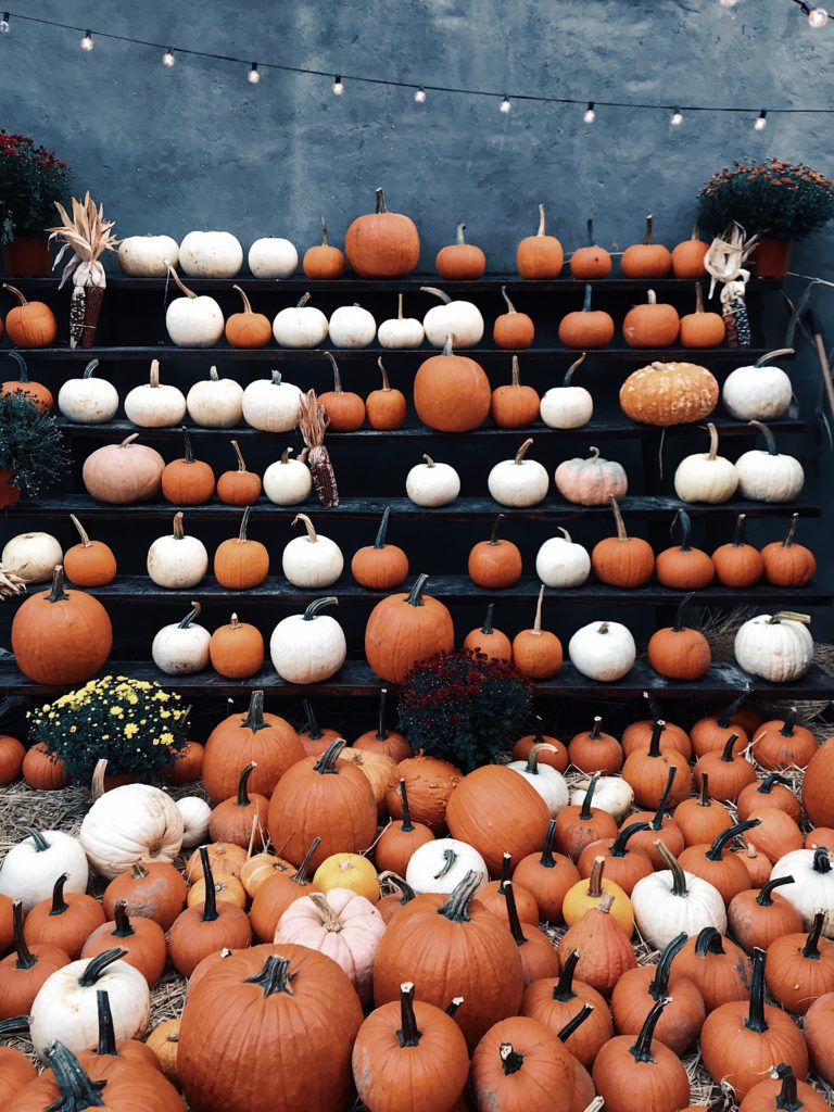 Monday Chat: Pumpkins on stands