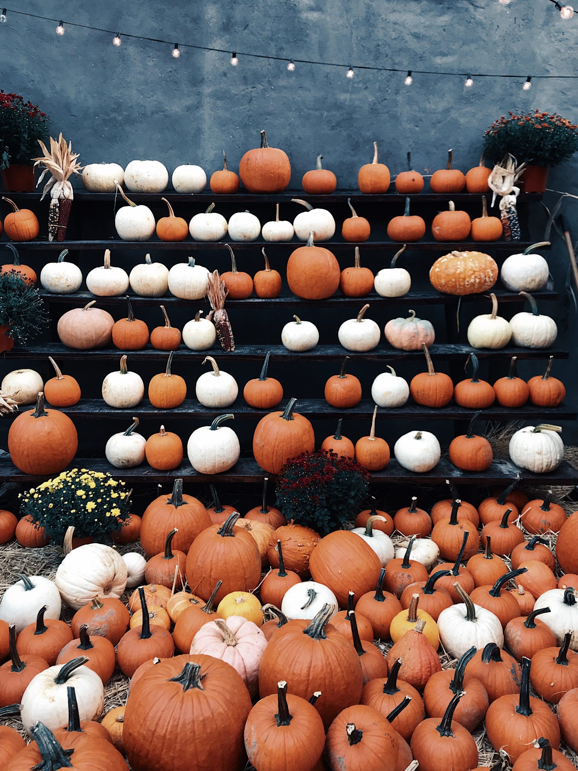 Monday Chat | 9.23.19