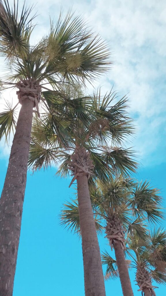 Alys Beach in 30A